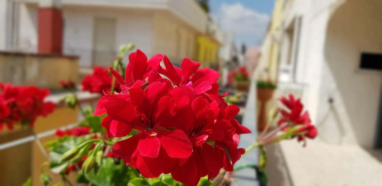 Cupersanum B&B Conversano Buitenkant foto